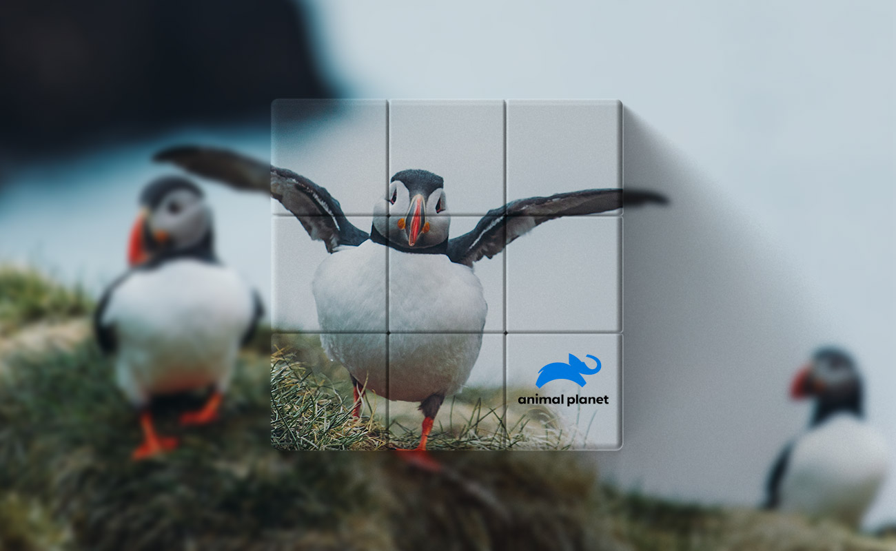 Blox - Cubos Mágicos con Publicidad gallery thumbnail