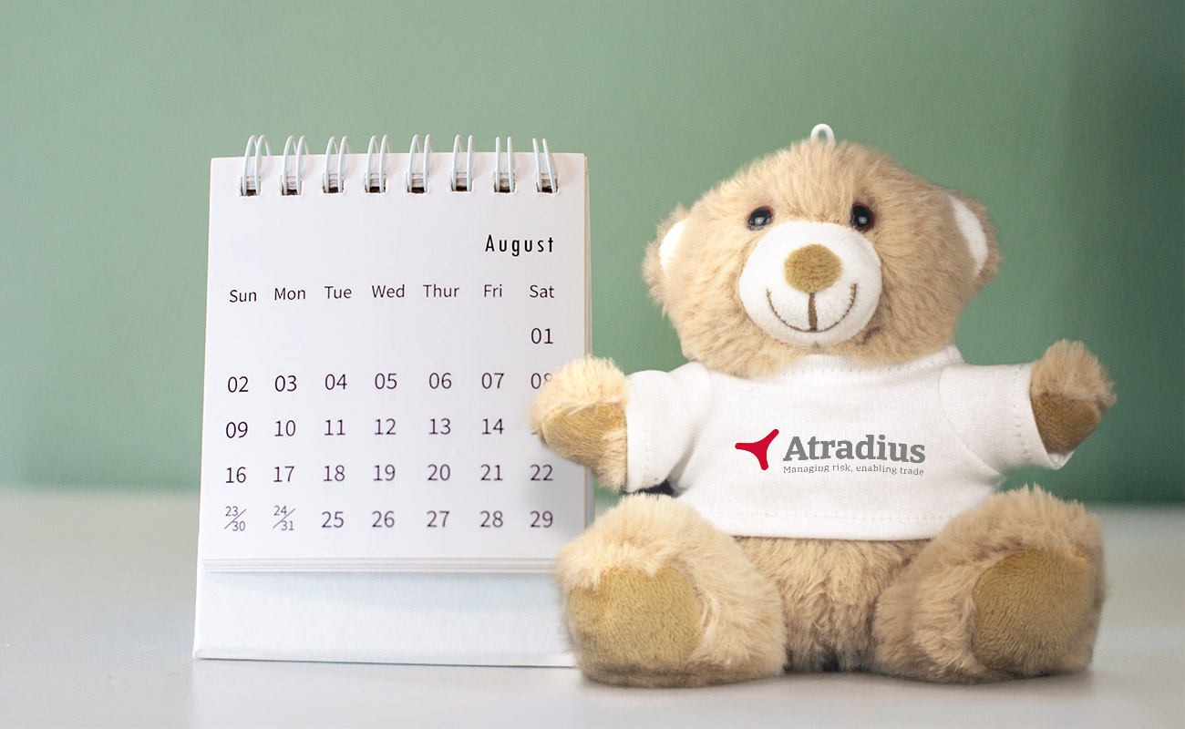 Paws - Ositos de peluche Promocionales con su Logo gallery thumbnail