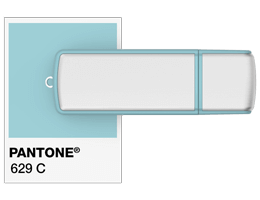 Referencias de Pantone® Pendrive
